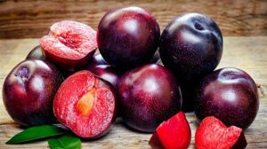 Manfaat Dari Buah Plum (Prunus domestica) Yang Mempunyai Banyak Manfaat