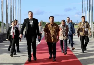 magiccarouselsundays.com