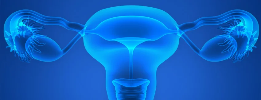 7 Cara Mengatur Hormon Saat Masa Menstruasi